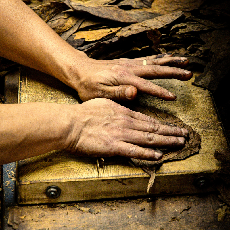 person laying tobacco leaves out while working on creating this handmade premium product