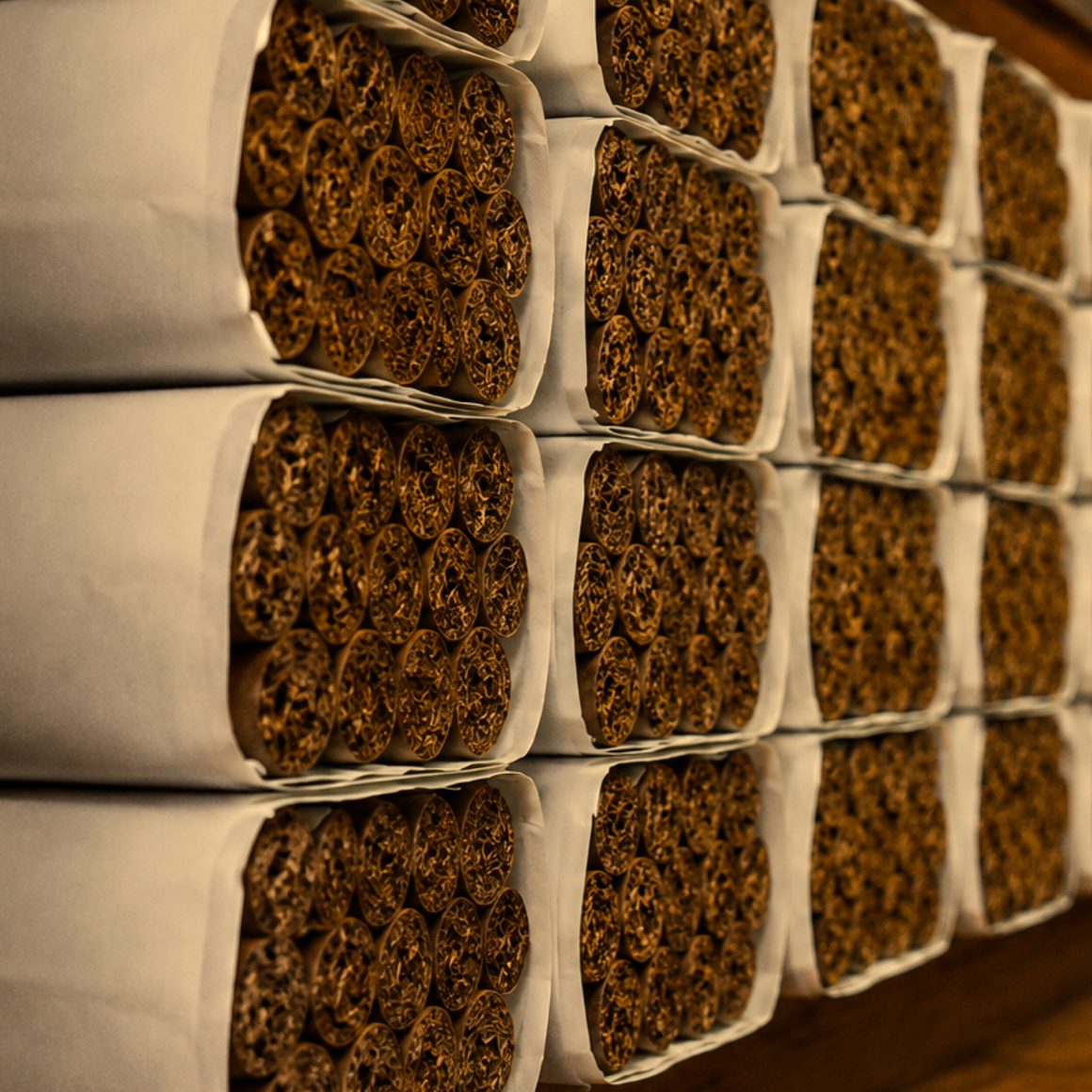 room filled with bundles of cigars