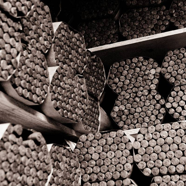 Bundles of cigars stacked high in the El Titan de Bronze Cigar Factory