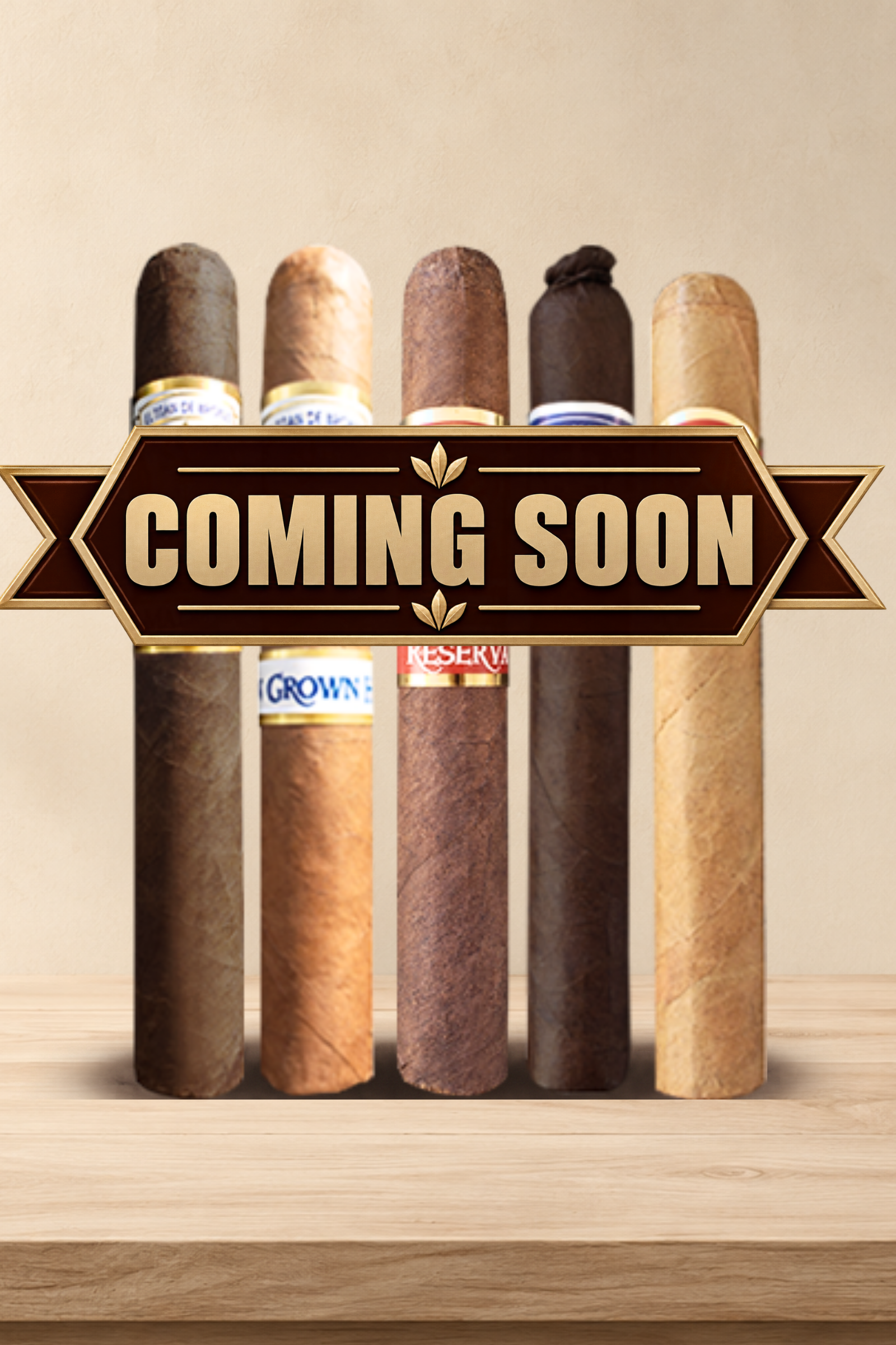 El Titan de Bronze Ultimate Sampler- Corona