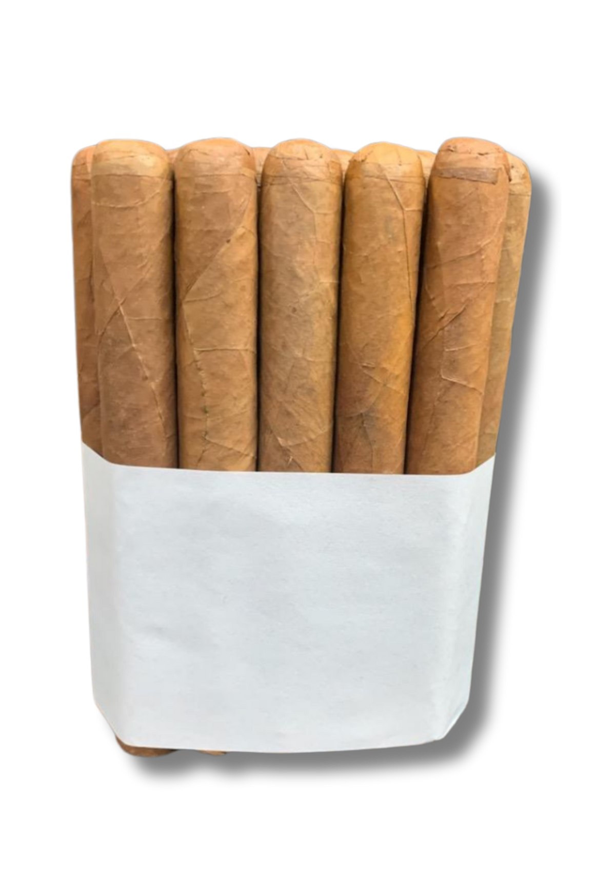 El Titan Short Filler Bundle