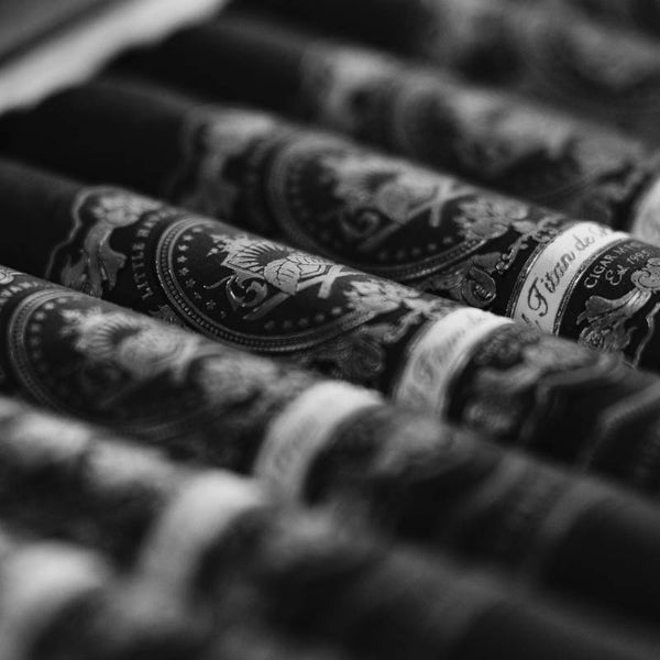 Beauty shot of El Titan de Bronze Redemption cigars, close up inside their box