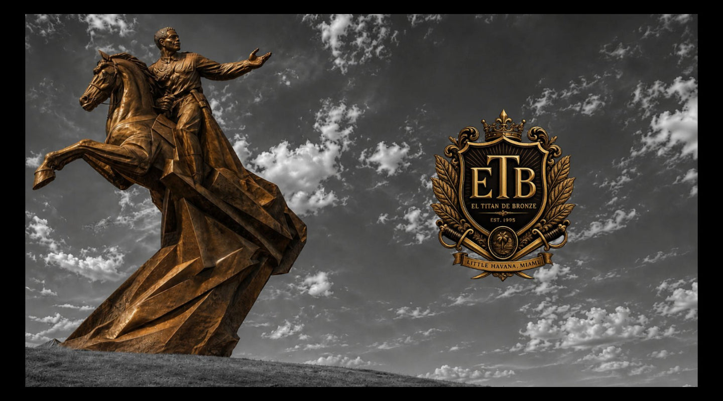 El Titan de Bronze hero image